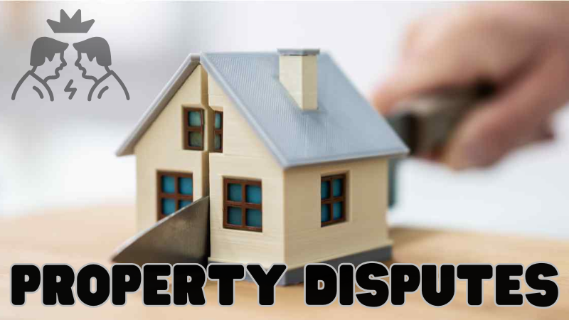 Property Disputes Among Families?