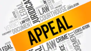 From Judgment to Appeal Explained